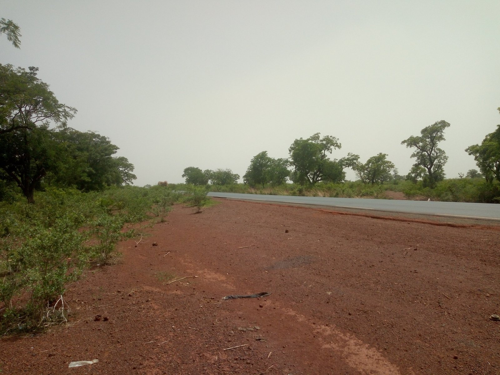 Image de Terrain en TF de 3 Hectares au bord du Goudron RN7!!! - Terrain nue