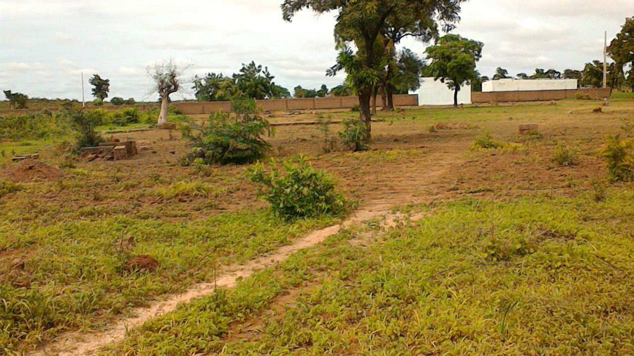 Image de A vendre 2 terrains nue à usage d'habitation à KABALA-CORO-BAGUINEDA - Terrain nue