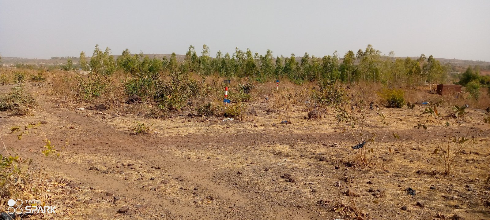 Image de A vendre 3 parcelles de terrain nue en Titre Foncier de 900 m2 sise à SANGAREBOUGOU - Terrain nue