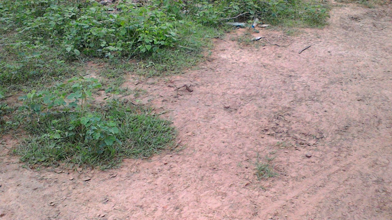 Image de A vendre un terrain nue de 180 m2 sise à YAYABOUGOU-BAGUINEDA - Terrain nue